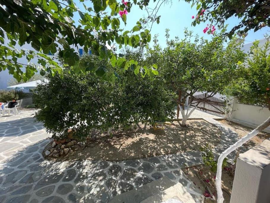 Cute Cycladic House In Parikia Páros