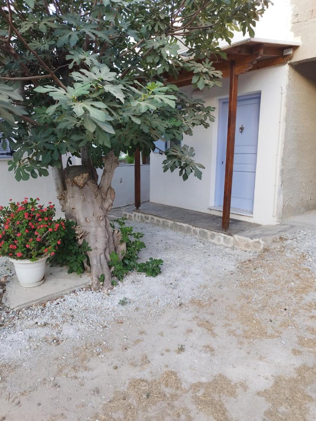 Cute Cycladic House In Parikia Apartment